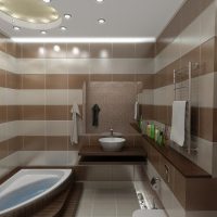 Un exemple de design de salle de bain clair de 5 m²