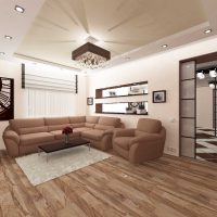 Un exemple d'appartement lumineux intérieur de 50 m²