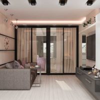 variante du décor lumineux de l'appartement 50 m² photo