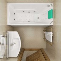 idée d'une salle de bains lumineuse style photo de 2,5 m²