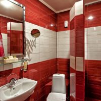 Exemple d'un intérieur inhabituel dans la salle de bain, photo de 5 m²