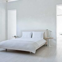idée d'une conception de chambre moderne en photo couleur blanche