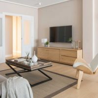 l'idée d'un beau design d'un salon dans un style photo moderne