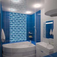 variante du style lumineux de la salle de bain avec une image de baignoire d'angle