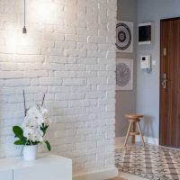 Exemple de décoration lumineuse d'un appartement moderne de 50 m²