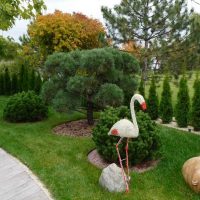 la possibilité d'utiliser de belles plantes dans l'aménagement paysager d'une maison