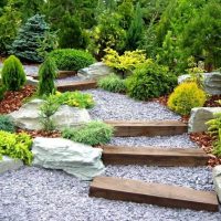 Un exemple d'utilisation de plantes lumineuses dans l'aménagement paysager d'une maison d'été