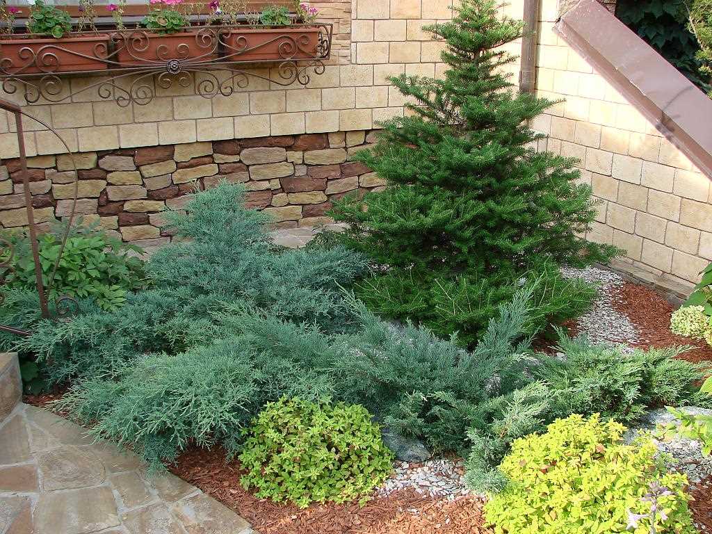 l'idée d'utiliser des plantes lumineuses dans l'aménagement paysager du chalet