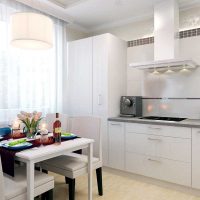 l'idée d'un beau style de cuisine photo de 8 m2