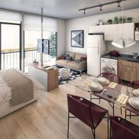 idée d'une image de décoration appartement lumineux