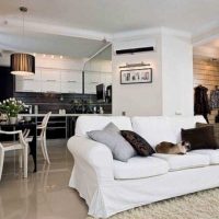 variante d'un décor lumineux d'un salon chambre à coucher de 20 m² photo