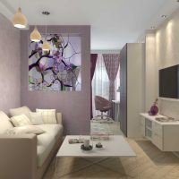option salon lumineux style chambre à coucher 20 m² photo