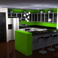 l'idée d'une combinaison inhabituelle de couleurs dans le décor d'un appartement moderne