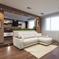 idée d'une belle photo de décor d'appartement