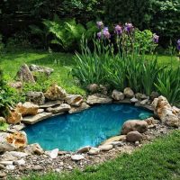 la possibilité d'utiliser des plantes lumineuses dans l'aménagement paysager de donner une photo