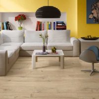 l'idée d'utiliser un stratifié léger dans un style brillant à la maison photo