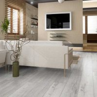 l'idée d'utiliser un stratifié léger dans une photo d'intérieur de maison lumineuse