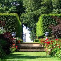 un exemple d'utilisation de plantes lumineuses dans l'aménagement paysager d'une maison