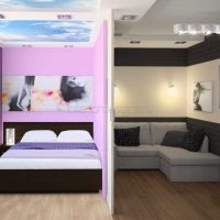 variante du style inhabituel du salon 18 m² la photo