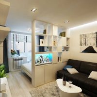 idée d'un décor lumineux d'un salon de 18 m² la photo