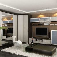 variante d'un décor lumineux d'un salon chambre à coucher de 20 m² photo