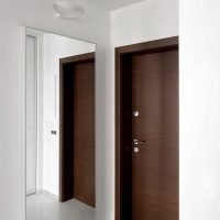 idée de style lumineux d'une salle de photo de couloir moderne
