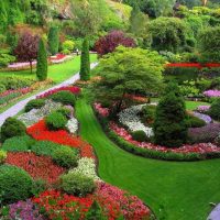variante de l'utilisation de belles plantes dans l'aménagement paysager donnant photo