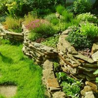 un exemple d'utilisation de plantes lumineuses dans l'aménagement paysager d'une maison