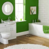 exemple d'application de vert dans une belle photo de décor d'appartement