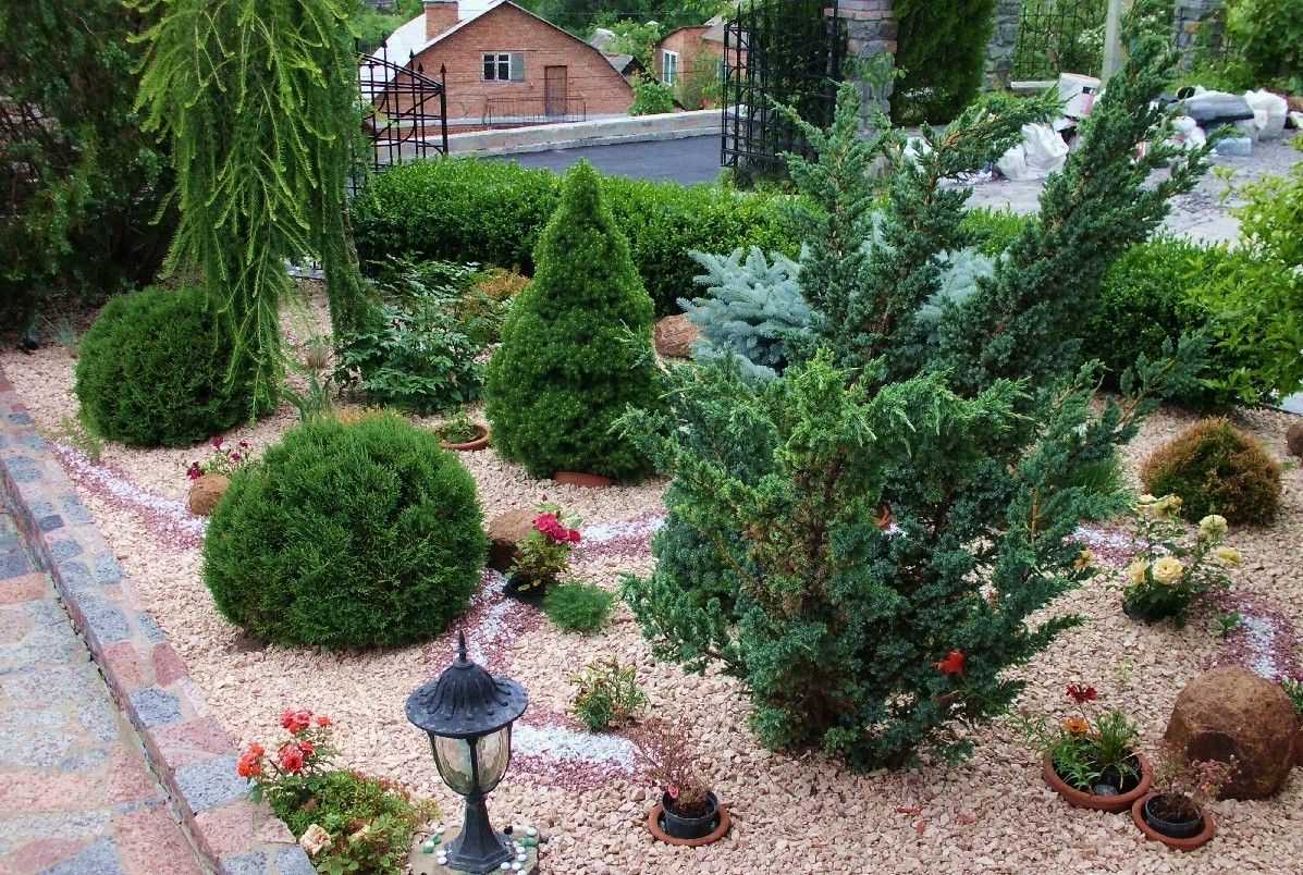 l'idée d'utiliser des plantes lumineuses dans l'aménagement paysager de la maison