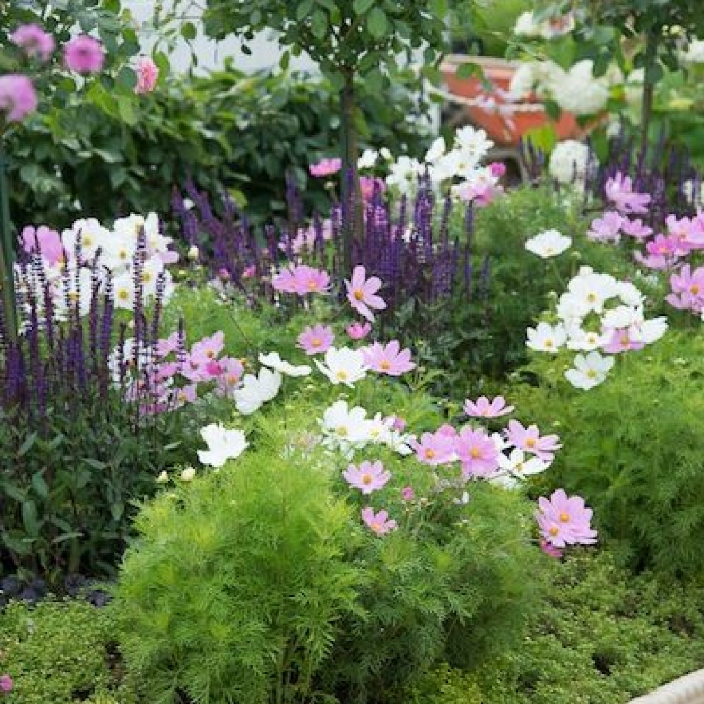 la possibilité d'utiliser de belles plantes dans l'aménagement paysager du chalet