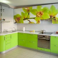 idée d'appliquer la couleur verte dans un décor inhabituel d'une photo de la pièce