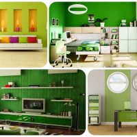 idée d'appliquer la couleur verte dans un intérieur lumineux d'une salle de photo