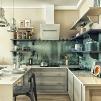 exemple d'un décor de cuisine insolite photo de 8 m²