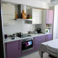 l'idée d'un bel intérieur de cuisine photo de 8 m²