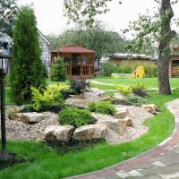 l'idée d'utiliser de belles plantes dans l'aménagement paysager à la maison photo