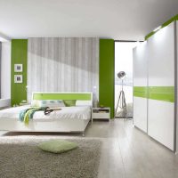 variante de l'utilisation d'un stratifié léger dans un intérieur inhabituel d'une photo d'appartement