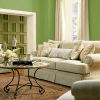 L'idée d'appliquer le vert dans un décor d'appartement lumineux photo