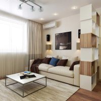 l'idée d'un design lumineux d'un salon de 18 m² la photo