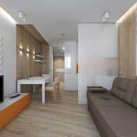 l'idée d'un salon de style lumineux chambre 20 m² la photo
