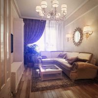 variante du décor lumineux du salon chambre à coucher de 20 m² la photo