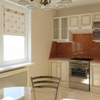 un exemple de style lumineux de la cuisine photo de 8 m²