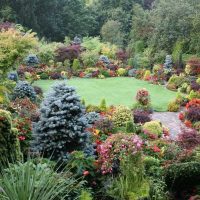 la possibilité d'utiliser des plantes lumineuses dans l'aménagement paysager de la maison photo