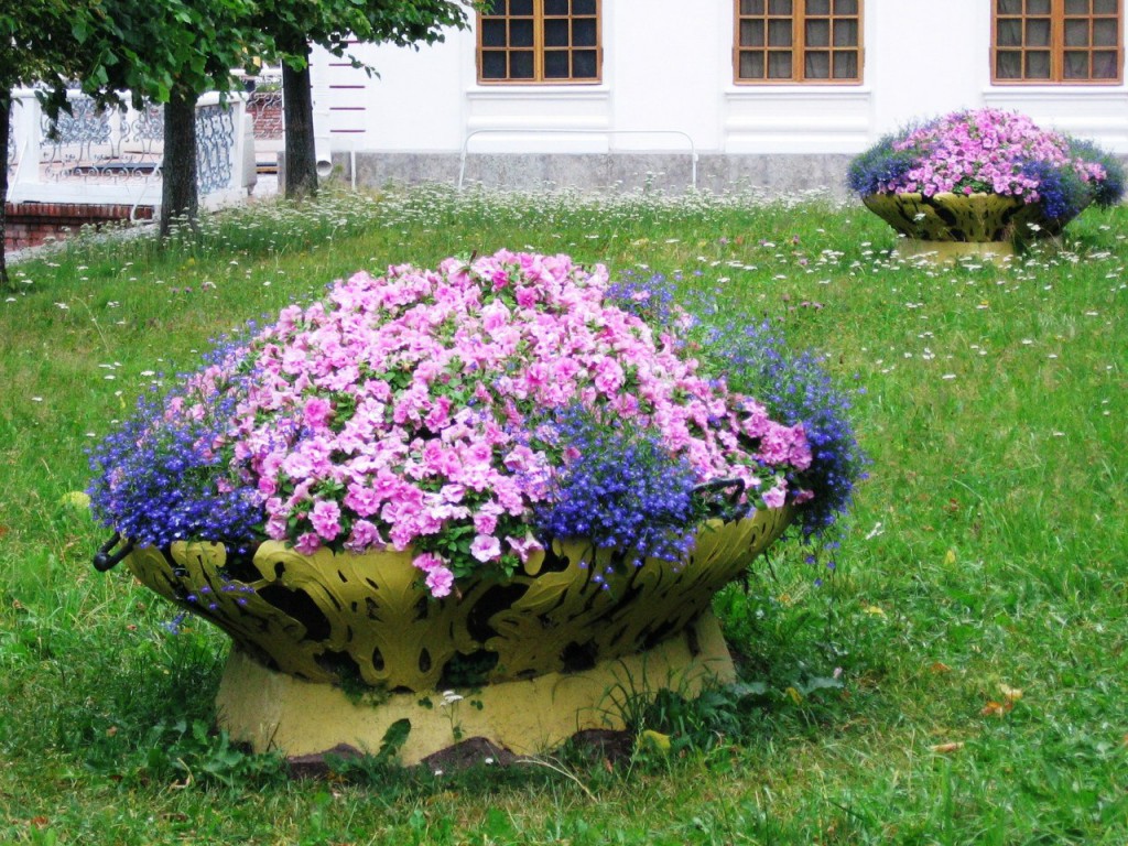 un exemple d'utilisation de plantes inhabituelles dans l'aménagement paysager d'une maison
