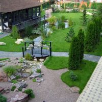variante de l'application de belles plantes dans l'aménagement paysager de la maison photo