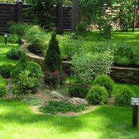 une variante de l'utilisation de belles plantes dans l'aménagement paysager d'une maison d'été