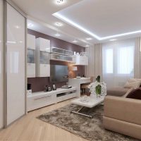 variante de l'intérieur lumineux du salon chambre à coucher de 20 m² photo