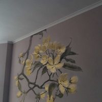 l'idée d'un appartement lumineux avec des murs peints photo