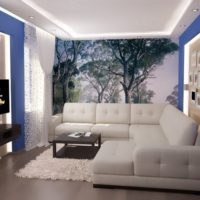 photo papier peint dans le salon