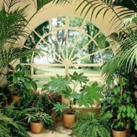 possibilité d'utiliser de belles idées pour décorer une photo de jardin d'hiver